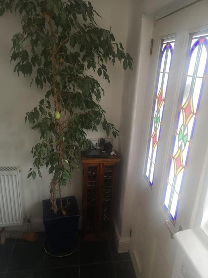 Uplands B&B St Ives Exteriör bild